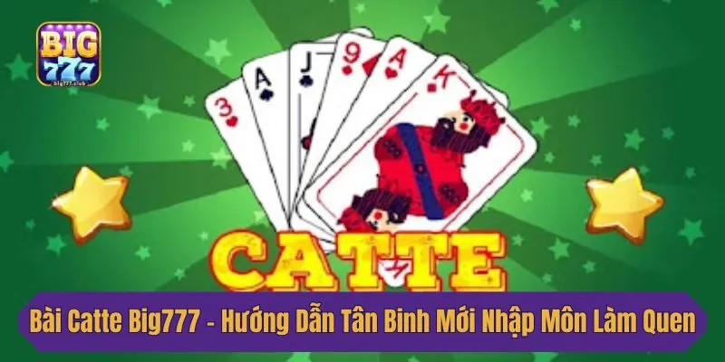 Bài Catte Big777 - Hướng Dẫn Tân Binh Mới Nhập Môn Làm Quen