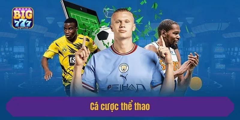 Cá cược thể thao hấp dẫn