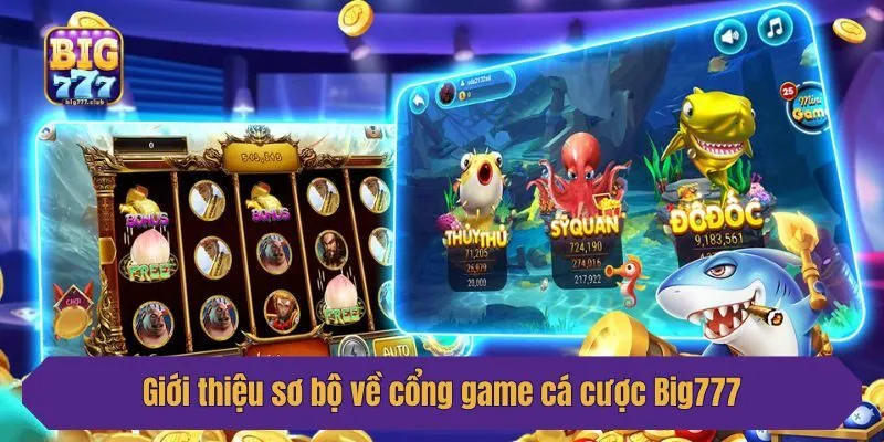 Giới thiệu sơ bộ về cổng game cá cược Big777