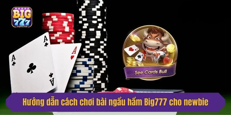 Hướng dẫn cách chơi bài ngầu hầm Big777 cho newbie