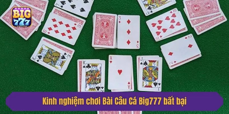 Kinh nghiệm chơi Bài Câu Cá Big777 bất bại mà ai cũng nên biết