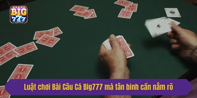 Luật chơi Bài Câu Cá Big777 mà tân binh cần nắm rõ