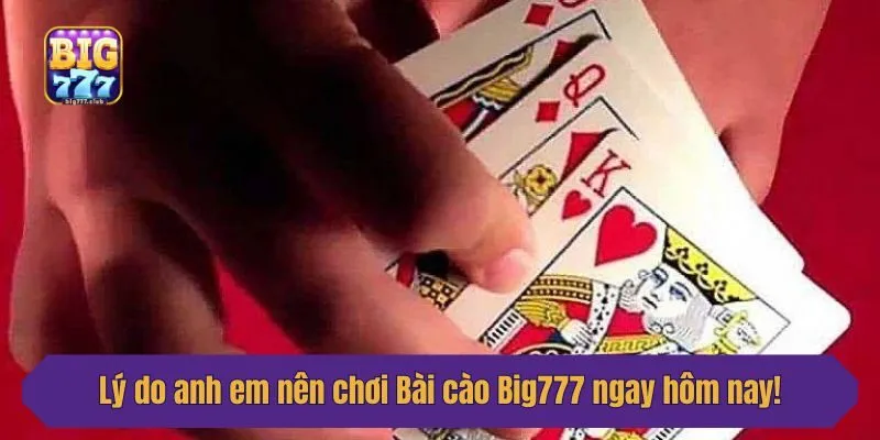 Lý do anh em nên chơi Bài cào Big777 ngay hôm nay!