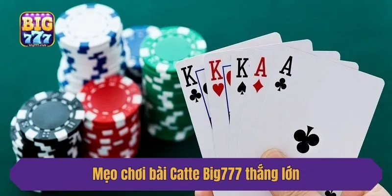 Mẹo chơi bài Catte Big777 thắng lớn