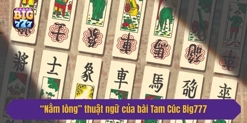 “Nằm lòng” thuật ngữ của bài Tam Cúc Big777