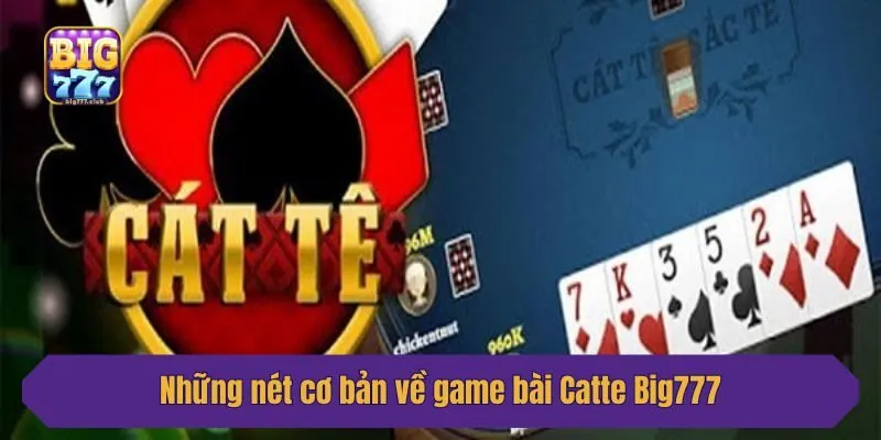Những nét cơ bản về game bài Catte Big777