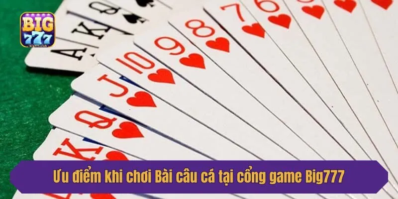 Ưu điểm khi chơi Bài câu cá tại cổng game Big777